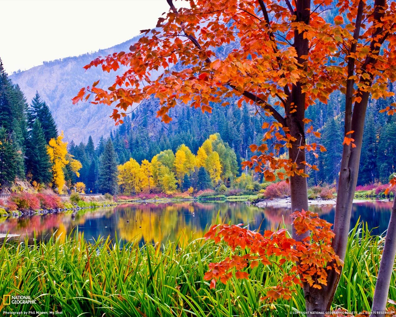 Fall into our amazing Autumn scents